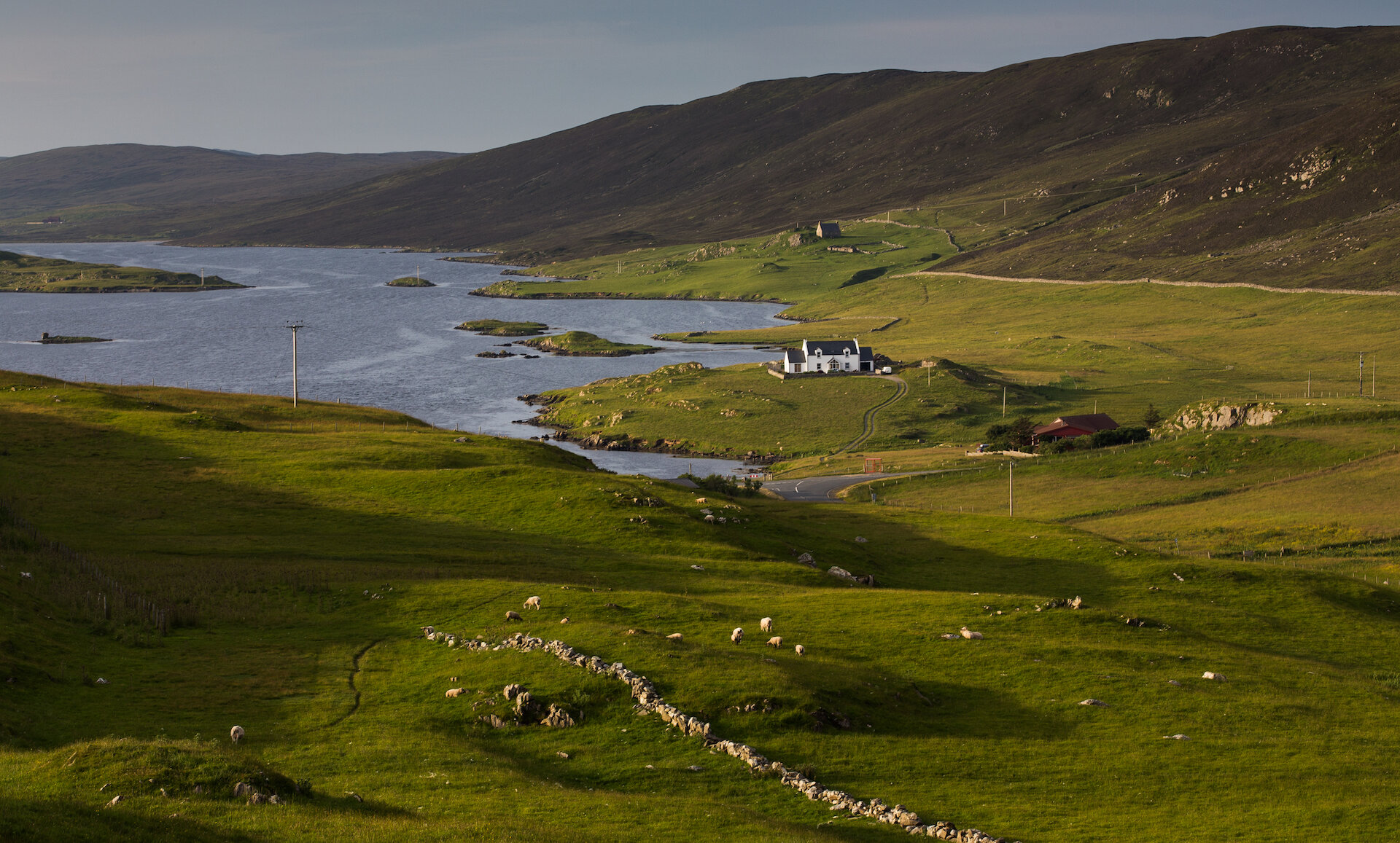 Rural housing in Shetland