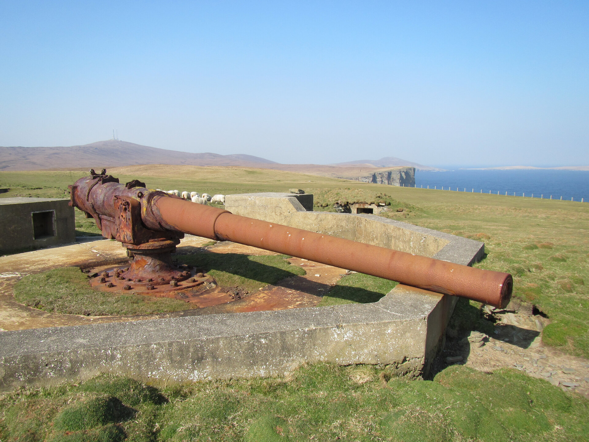 The Great War gun at the Bard, Bressay | Chris Dyer