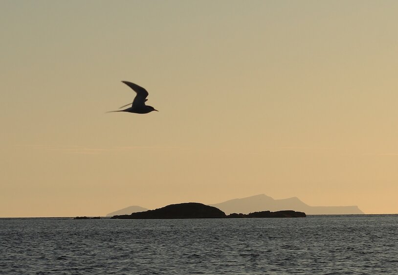 Why Shetlanders love ‘da simmer dim’