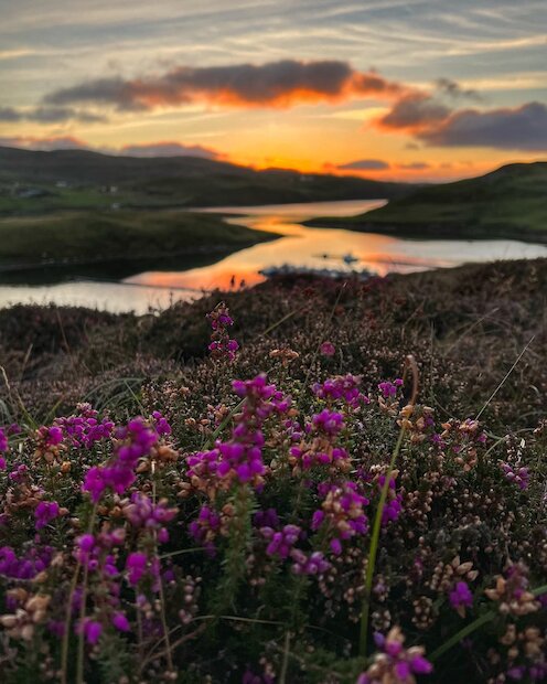 1. Embrace the untamed beauty of Shetland in autumn