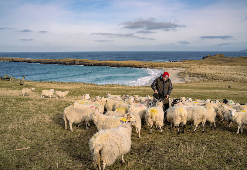 How Shetland agriculture continues to thrive