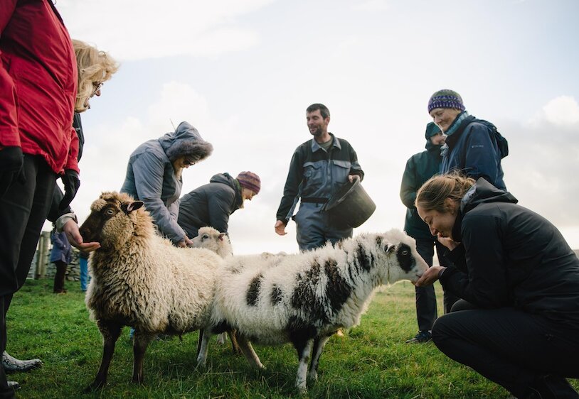 How to enjoy a traditional crofting experience in Shetland