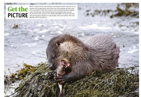 Green Traveller Magazine (pp. 4-5)