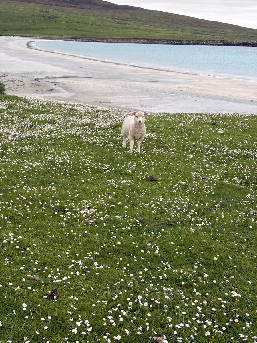 Easting Beach in Unst