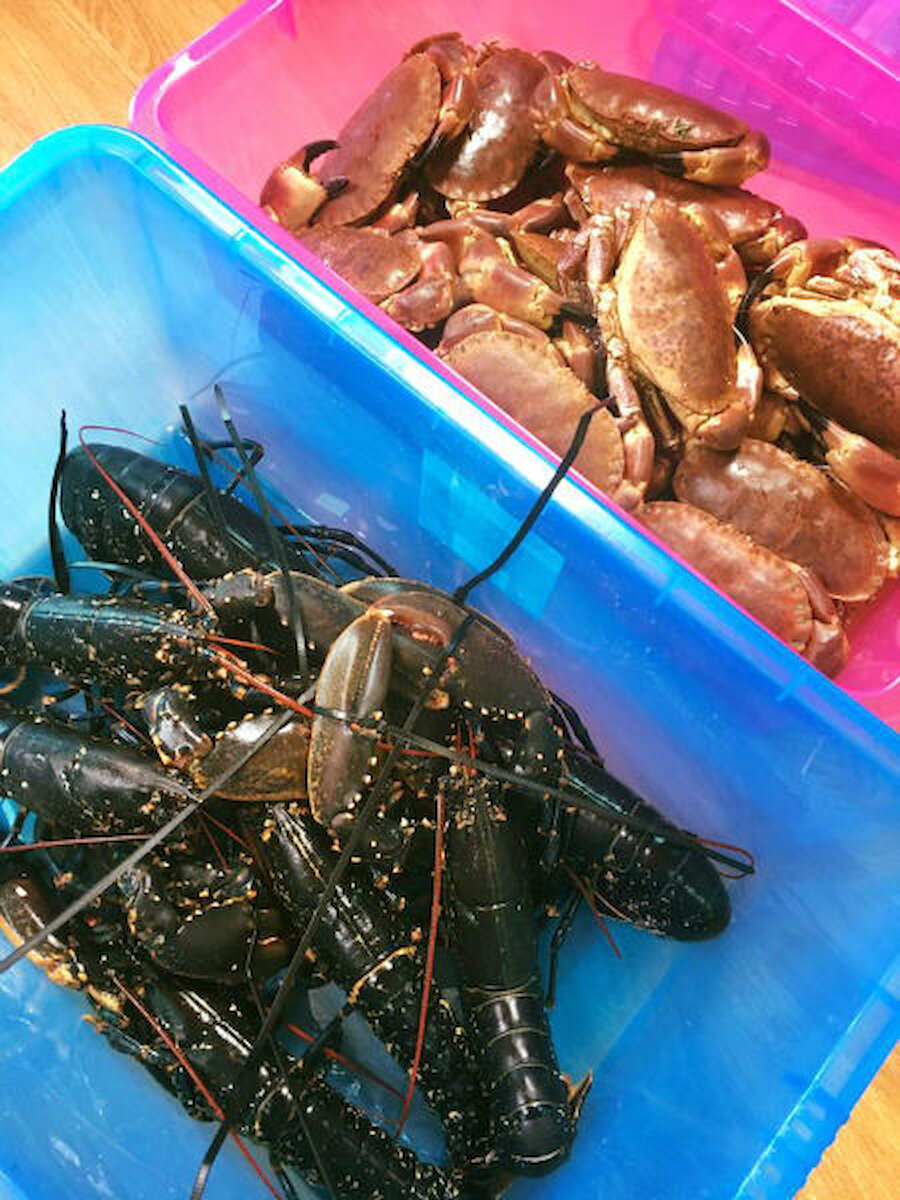 Freshly-caught lobster and crab (Courtesy Akshay Borges)