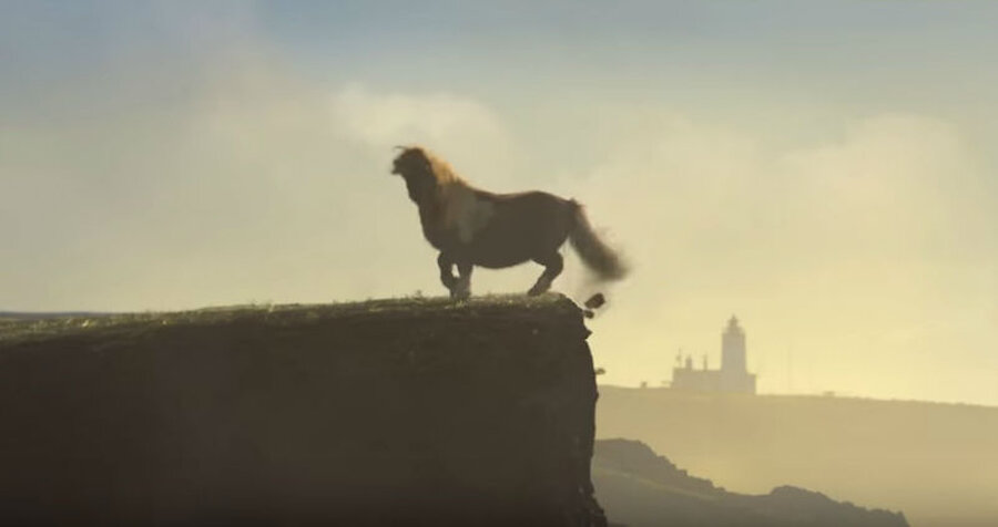 The moonwalking Shetland pony clocked up millions of views online and was also seen in cinemas and on television (Courtesy Three)