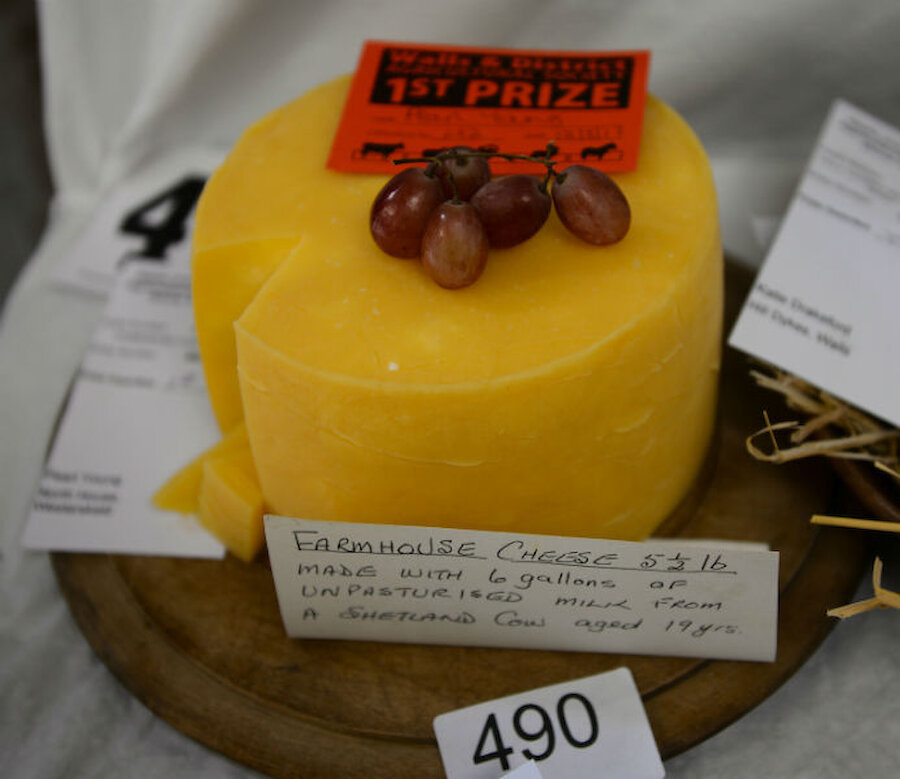 Another prizewinner was this large and delicious farmhouse cheddar (Courtesy Alastair Hamilton)
