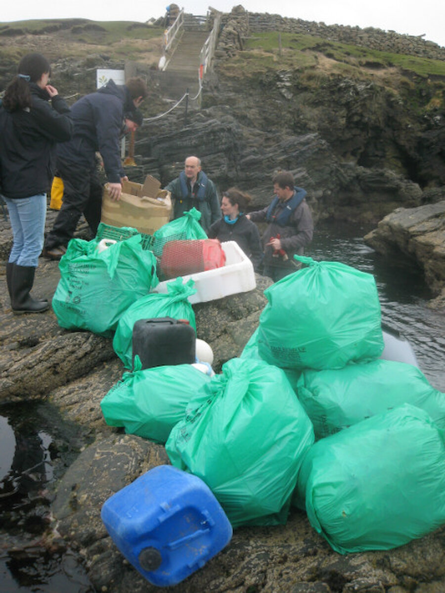 Impressive amounts of bruck are collected. (Courtesy Shetland Amenity Trust)