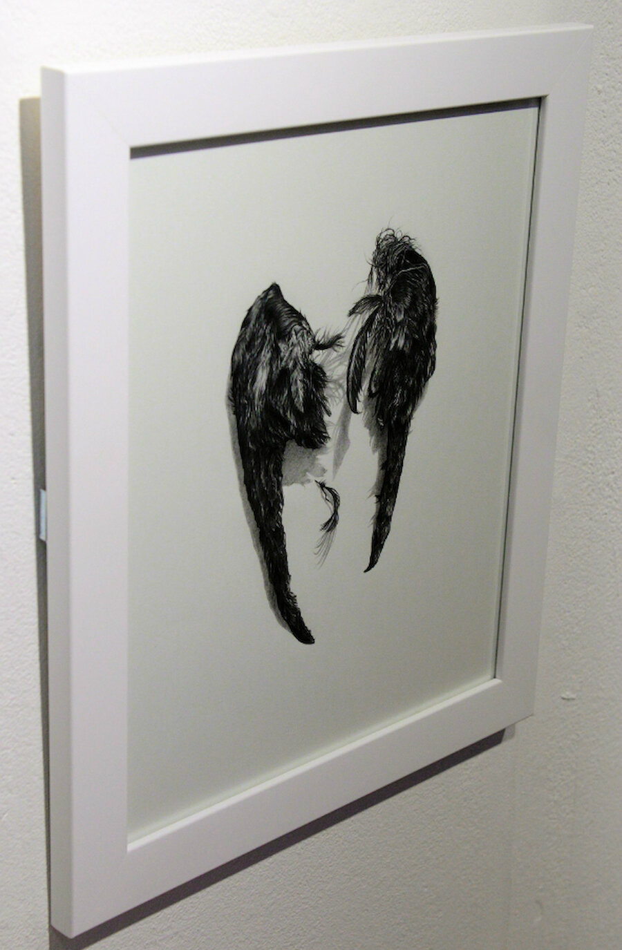 Aimee Labourne's finely-wrought depiction of a Storm Petrel's wings.