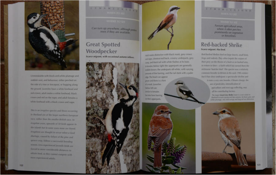 The species are described well and the photographs are excellent
