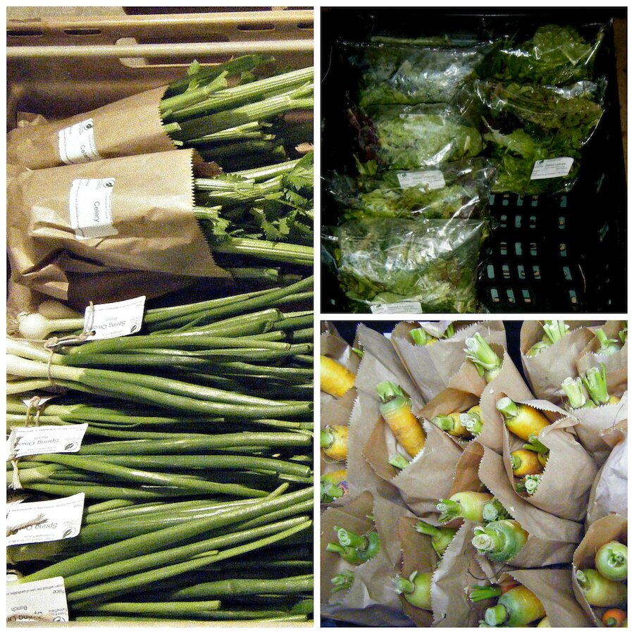 Spring onions, celery, salad and carrots bagged and ready to go