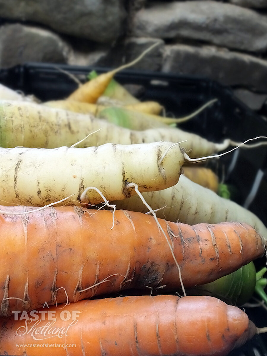 Turriefield carrots, ready to be packed into vegetable boxes