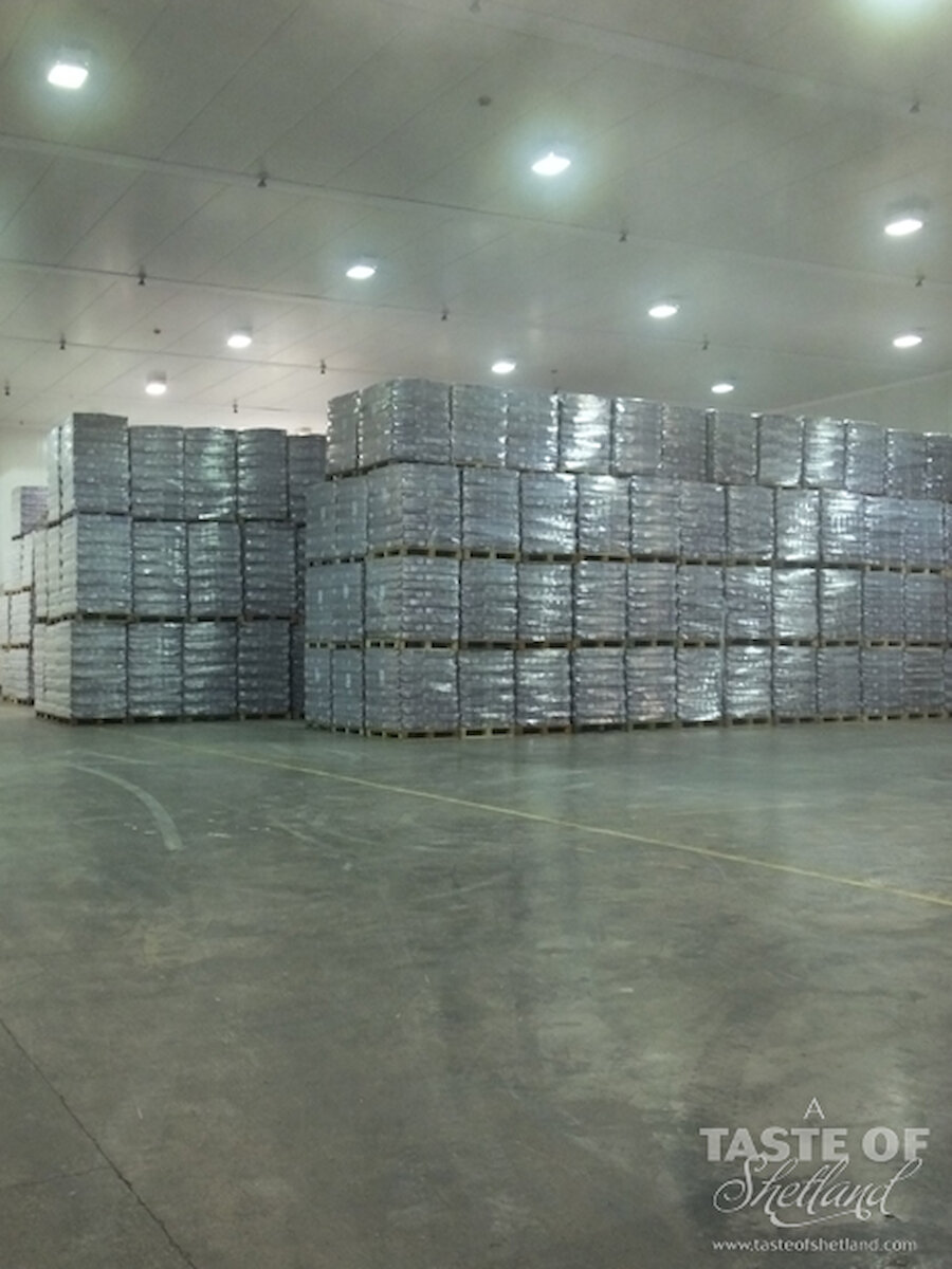 A cold store in action - these can hold 11,500 tonnes of fish