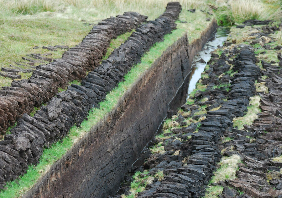 Peats laid on the bank after cutting, but not yet raised.