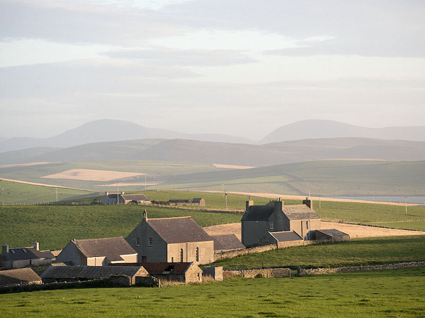 Orkney, more than the other islands, offers rich pastures | Alastair Hamilton