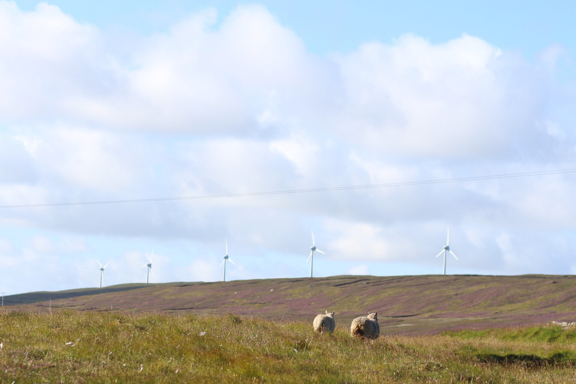The community-owned Garth Wind Farm in Cullivoe, Yell