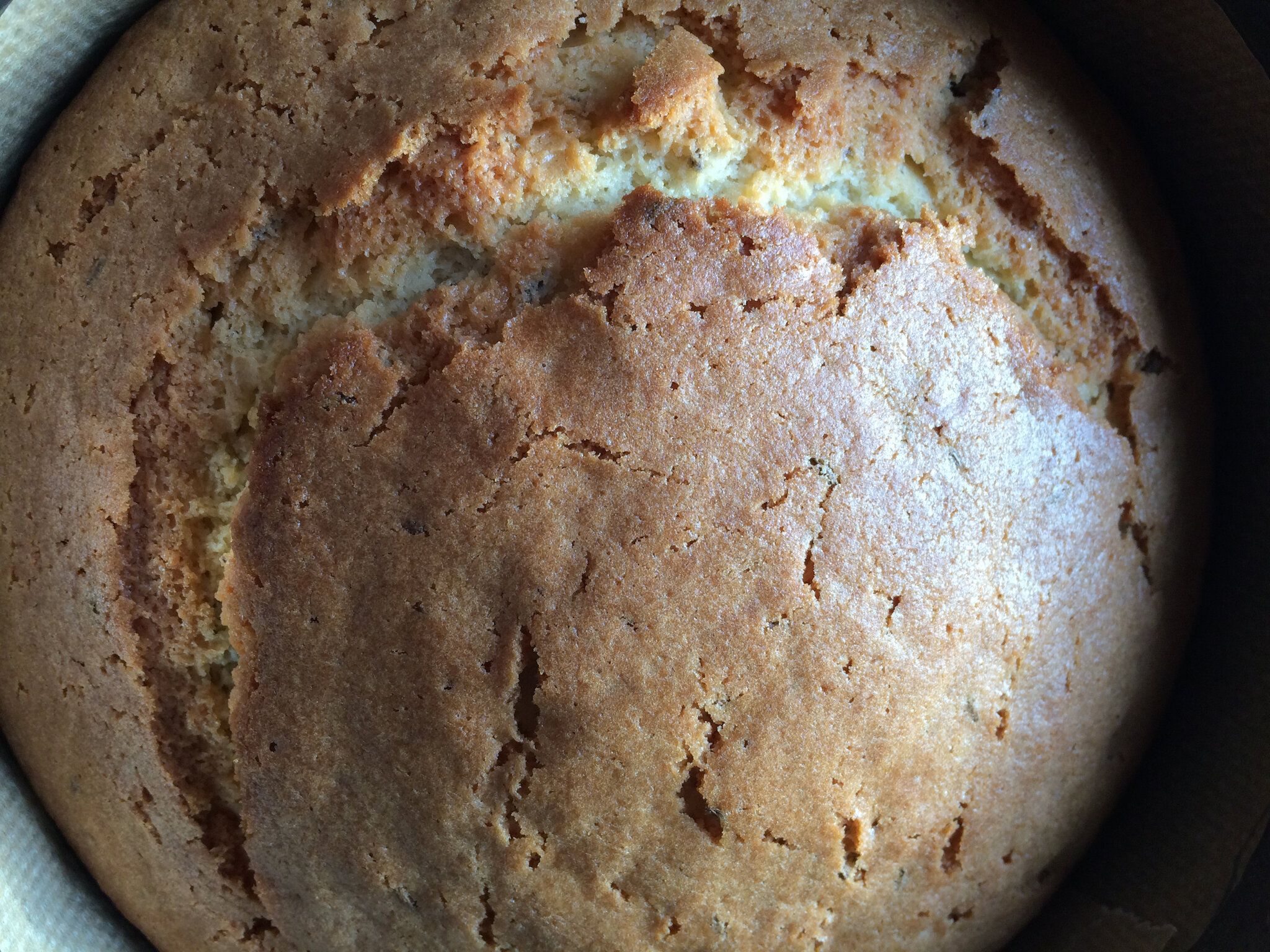 Seed Cake | The Hobbit; An Unexpected Party | InLiterature