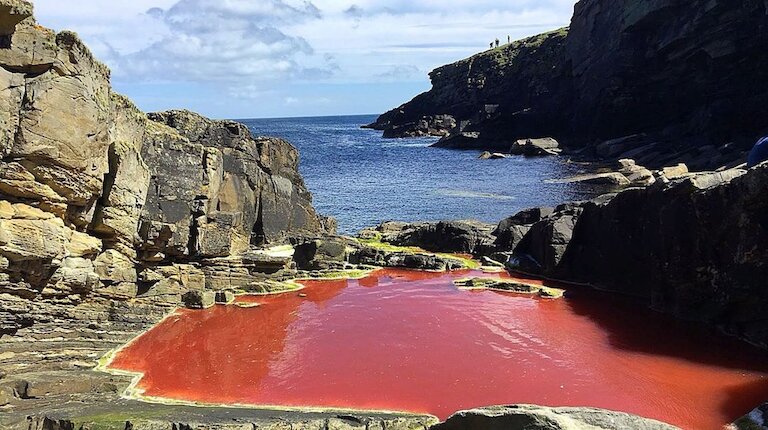 red rock pool red rock pool