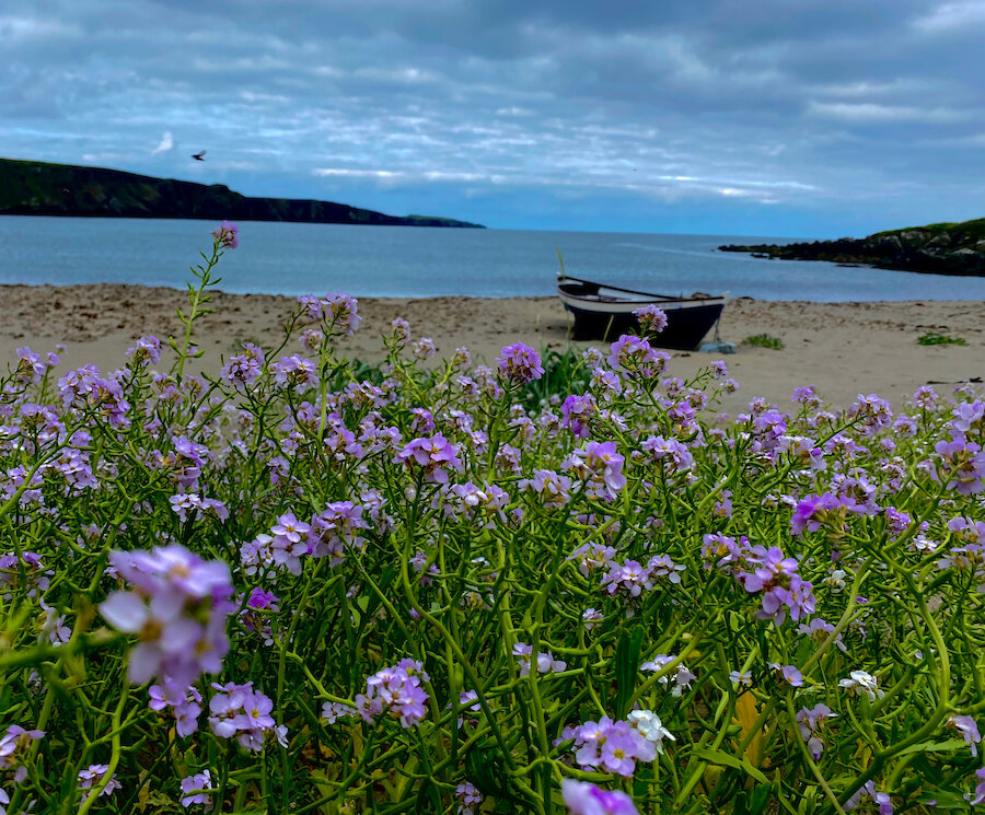 Norwick beach in Unst is a great place to visit by bike | Chloe Irvine