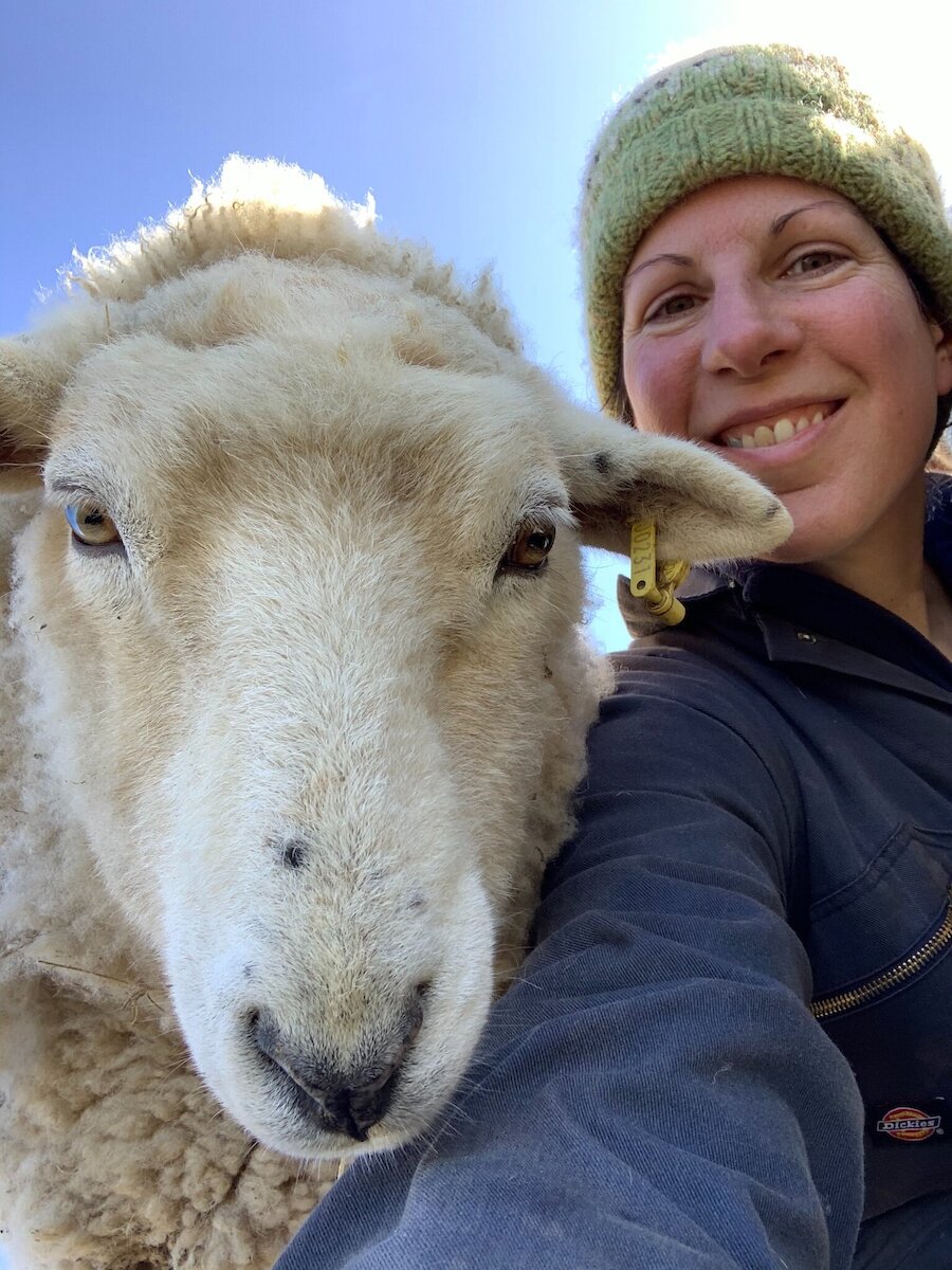 Rachel with a sheep on her Fair Isle croft