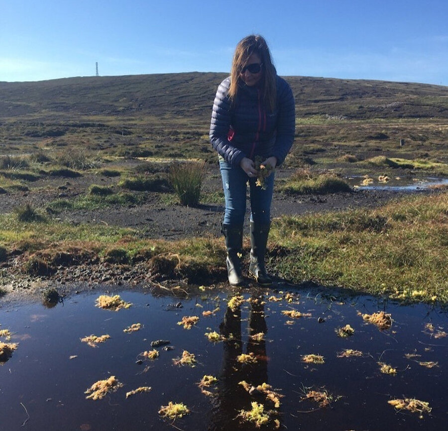 Peatland restoration can make a contribution to reducing CO2 emissions. | Shetland Amenity Trust