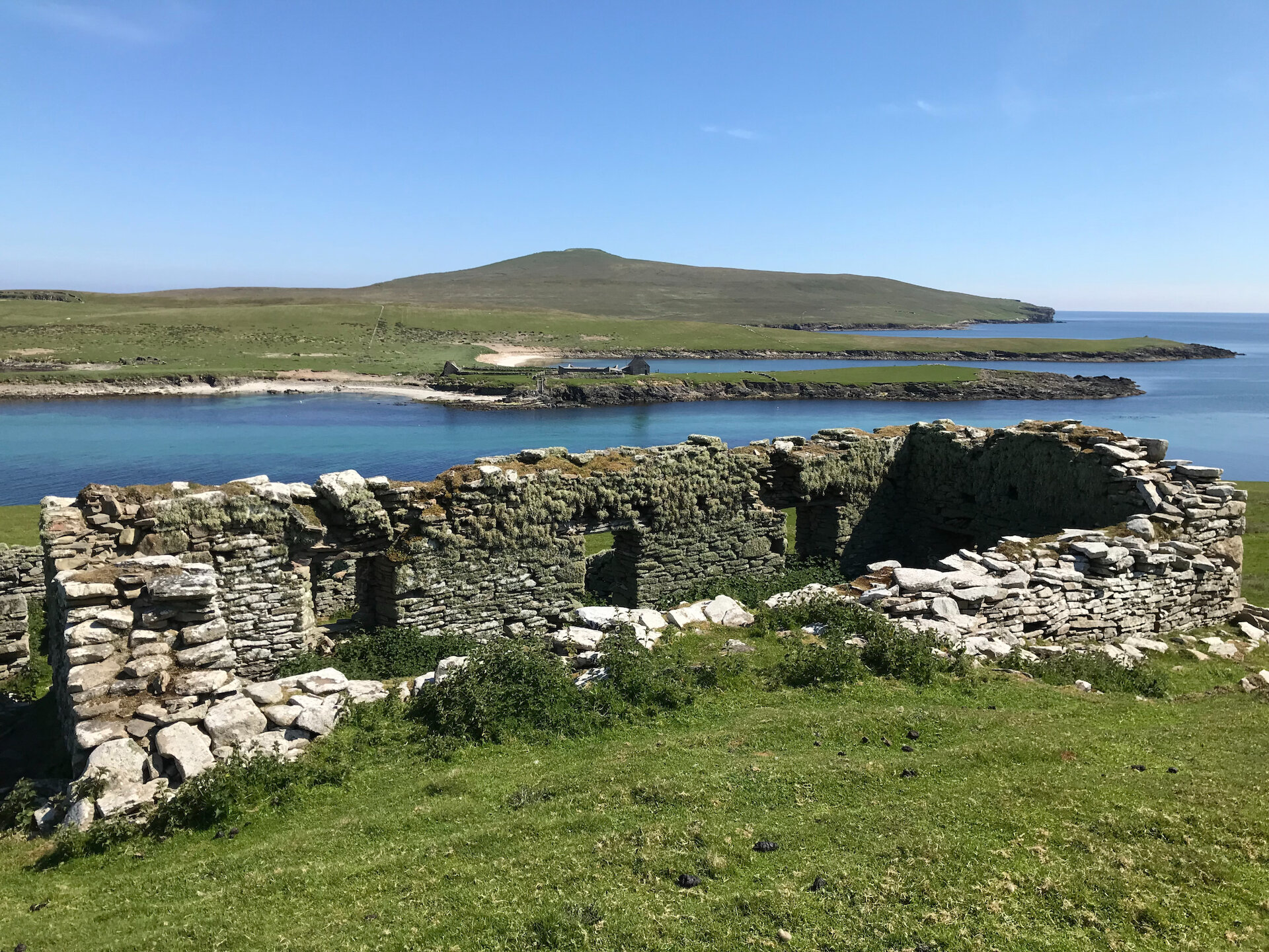 What's left of Northerhouse, also known as 'The Ferryman's House', looking across to Noss and its national nature reserve. Photo: Chris Dyer.