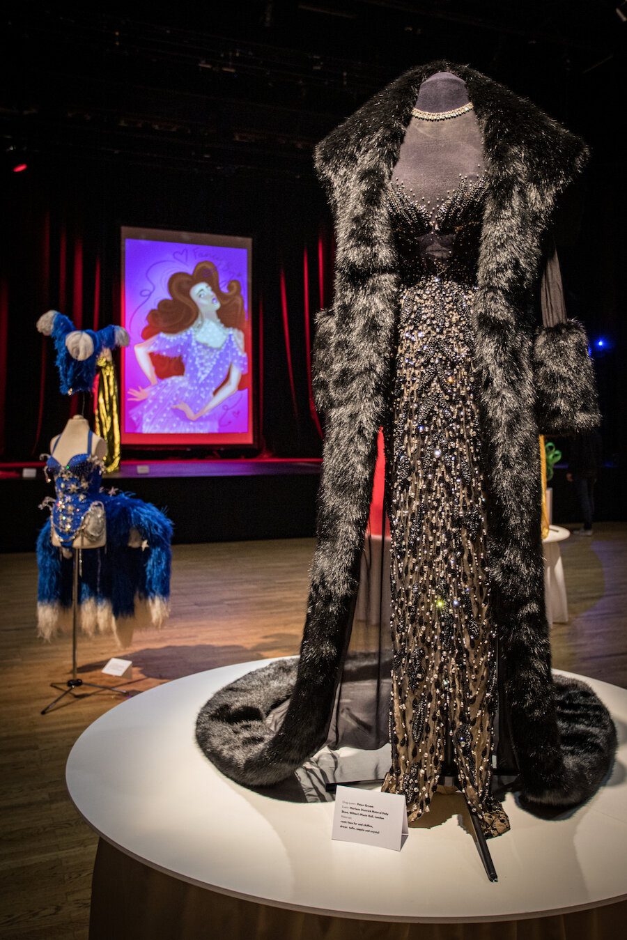 A tulle, sequin and crystal dress, worn by drag queen Peter Groom for a Marlene Dietrich show. Photo: Chloe Garrick.