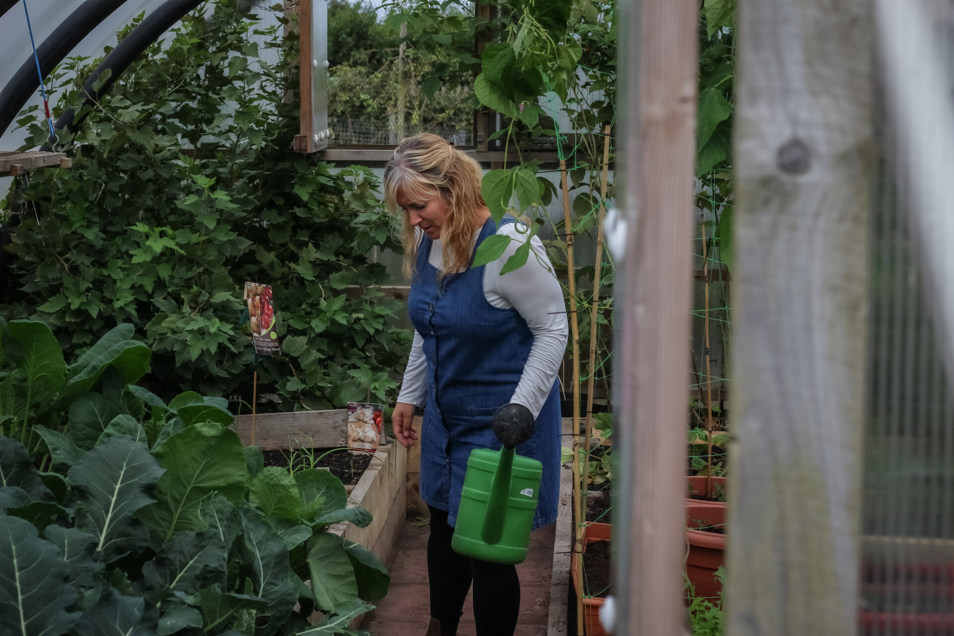 The couple have embraced living in a traditional Shetland cottage, with Sam putting her green fingers to use in the property's polytunnel. Photo: May Graham.