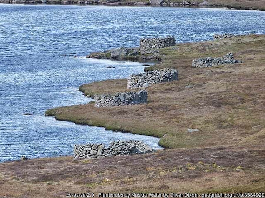 Planticrubs near Isbister, Whalsay | Oliver Dixon (Geograph 3584929 Creative Commons)