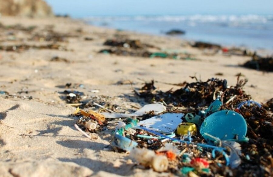 Marine litter is dangerous and unsightly. | KIMO