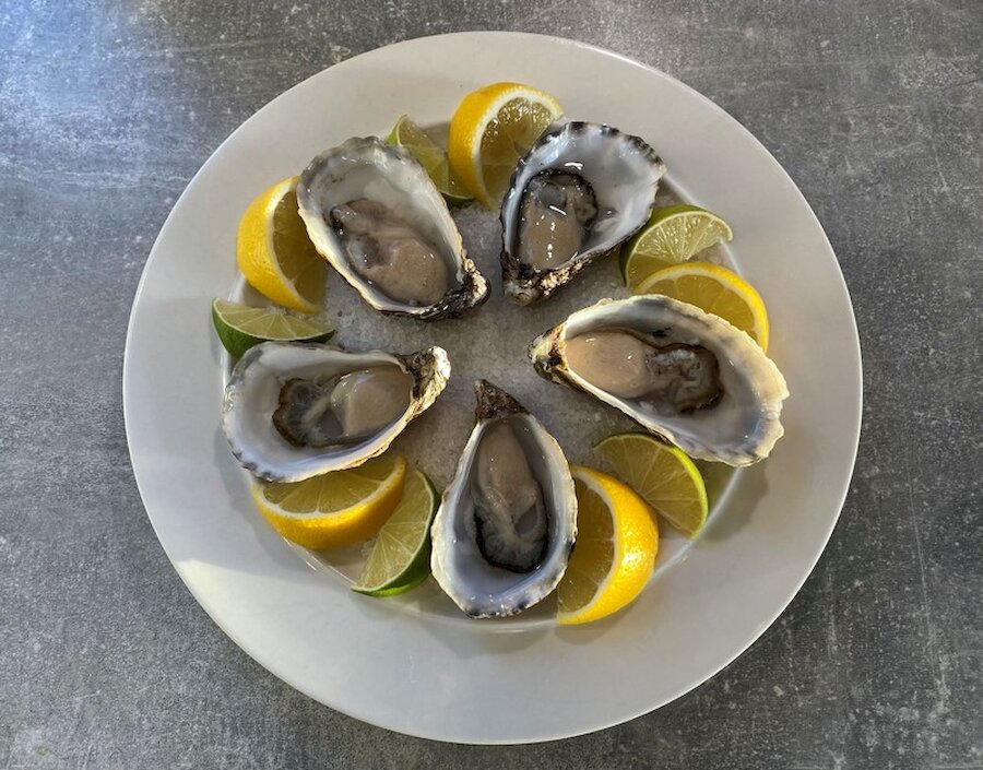 The oysters are of superb quality. | Winston Brown