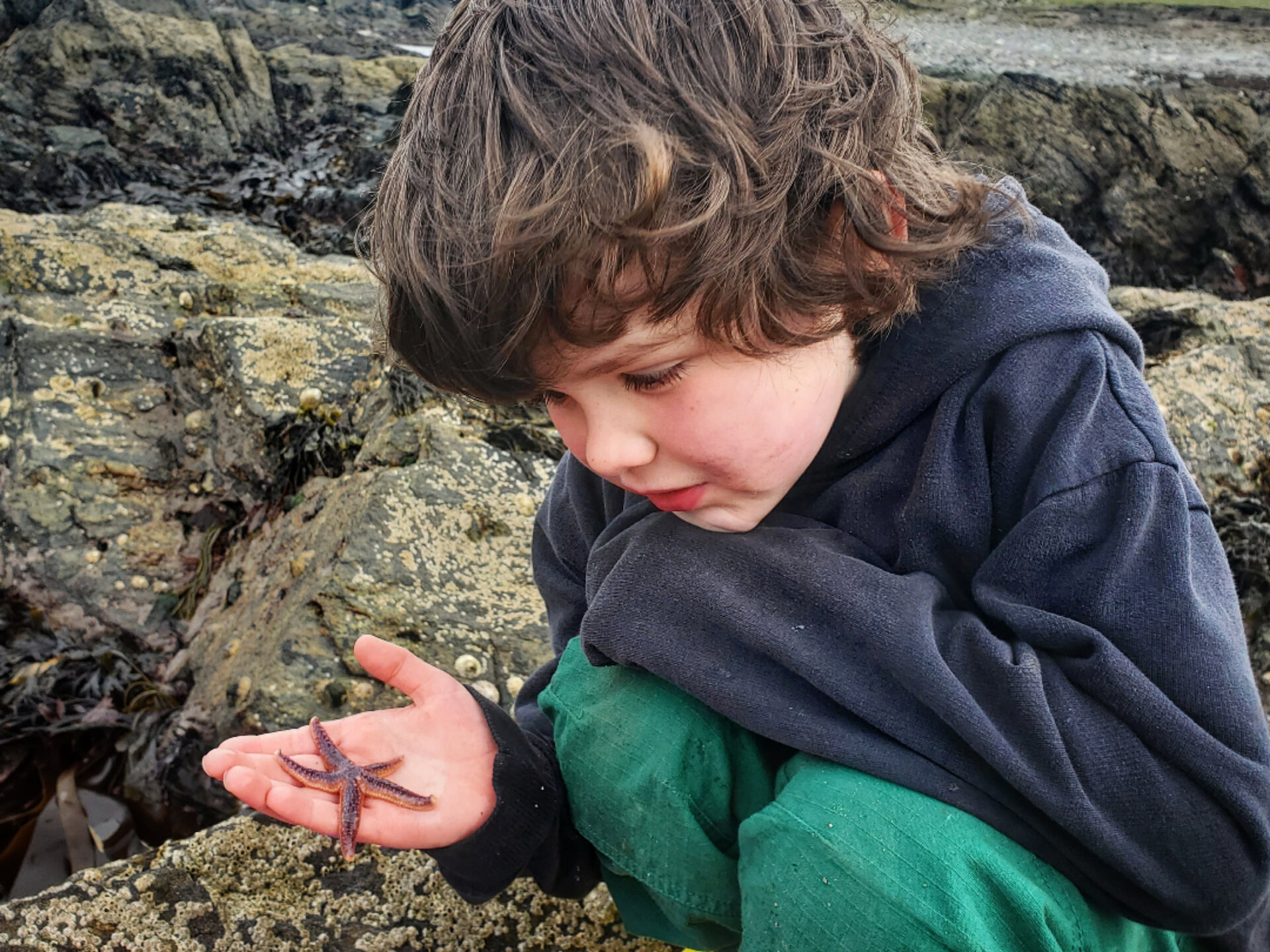 Amazed by the starfish.