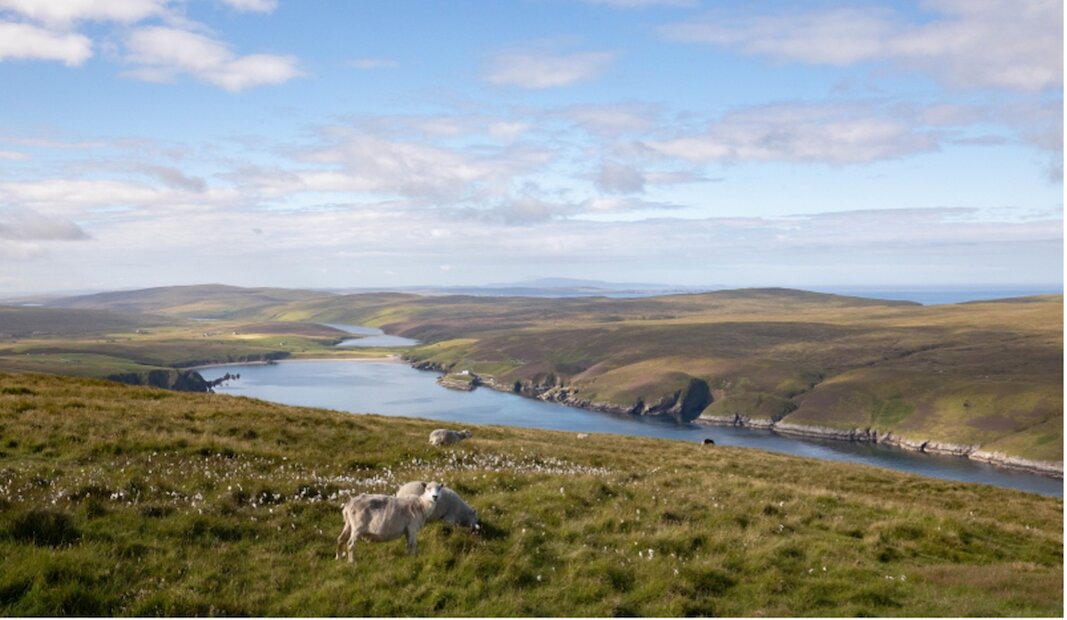 Kate Humble – wild about Shetland's skies | Shetland.org