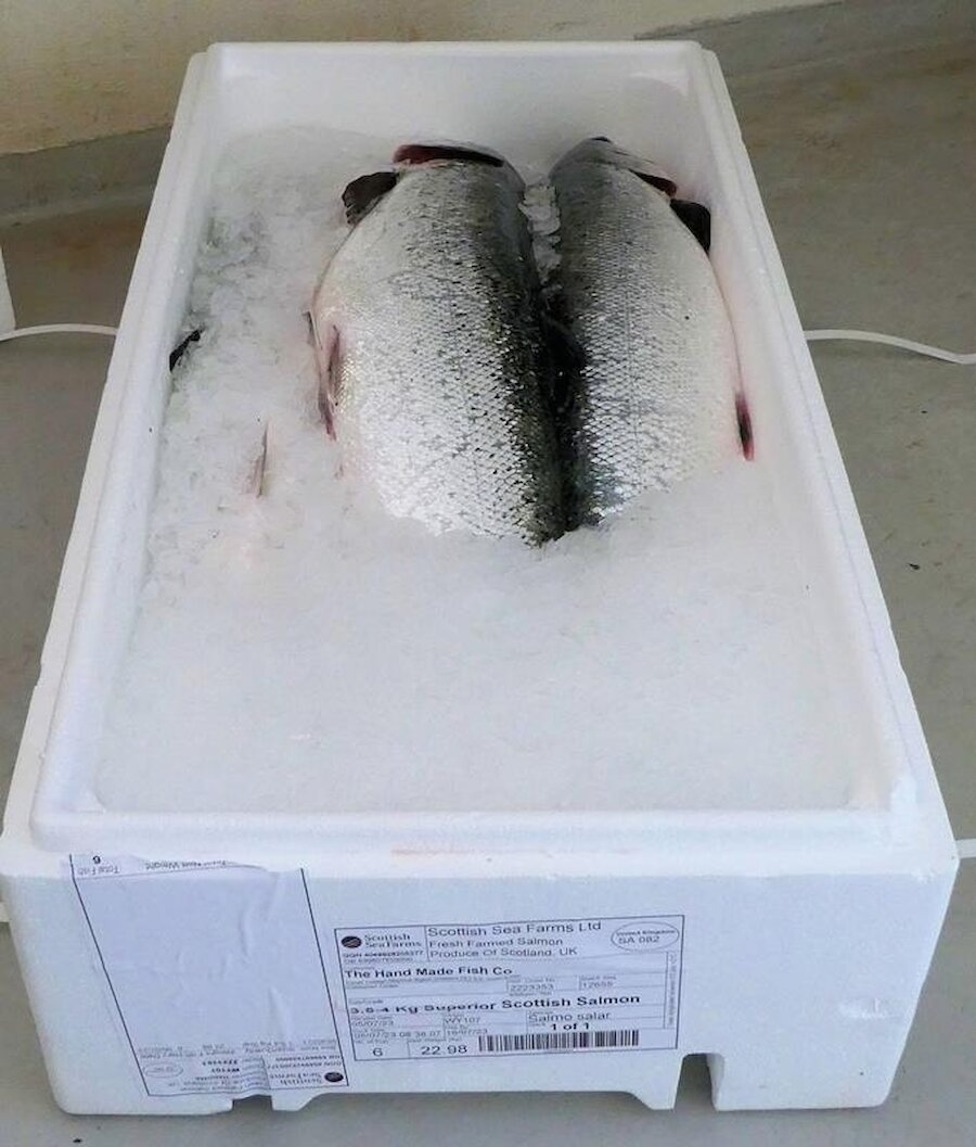 Fresh salmon in ice: Dave Parham insists on the best. | Alastair Hamilton