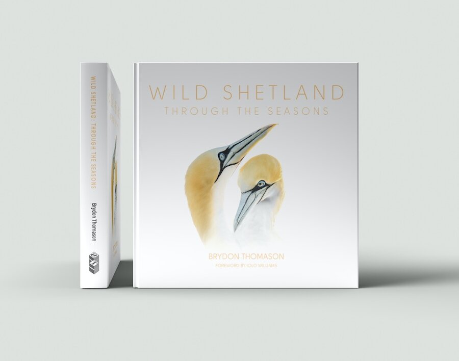 The cover of the new book features a beautiful portrait of a pair of gannets. | Brydon Thomason and The Shetland Times Ltd