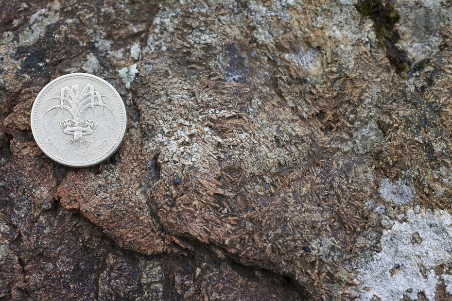 Spinifex texture in metamorphosed lavas