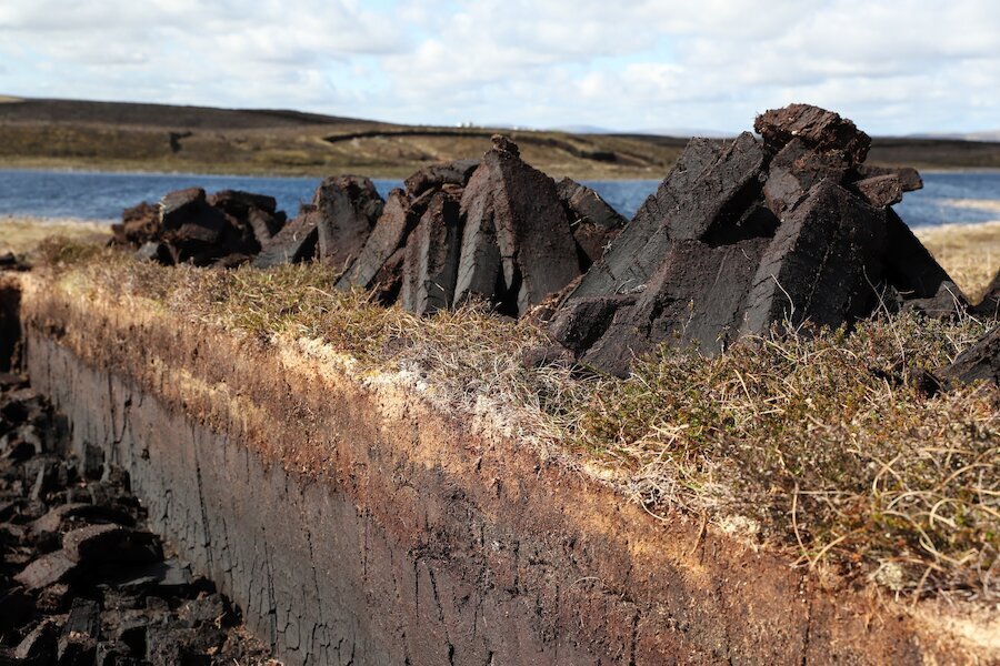 Freshly cut peats, piled to dry.