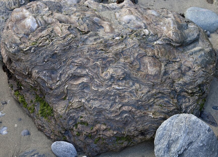 Small scale folding has produced these beautiful patterned rocks that are visible at low tide