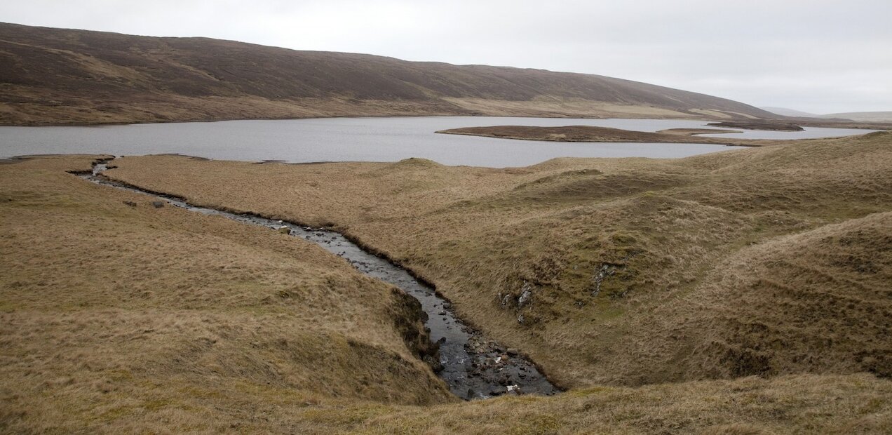 Blanket bog on the hills to the west | Shetland Amenity Trust