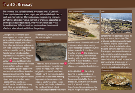 Old Red Sandstone - Trail 3: Bressay