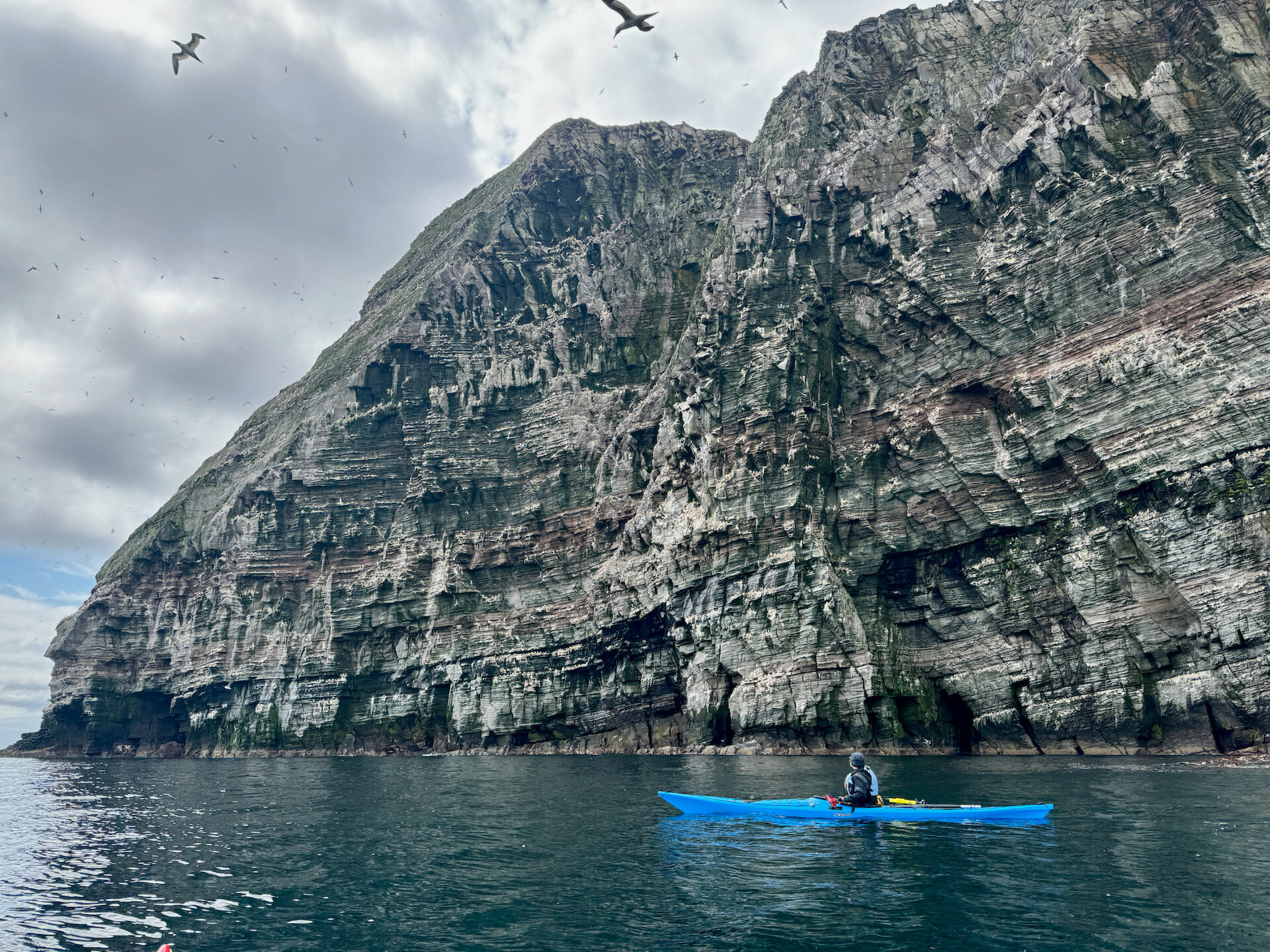 Experiencing the gannet colonies of Noss from the water is unforgettable.