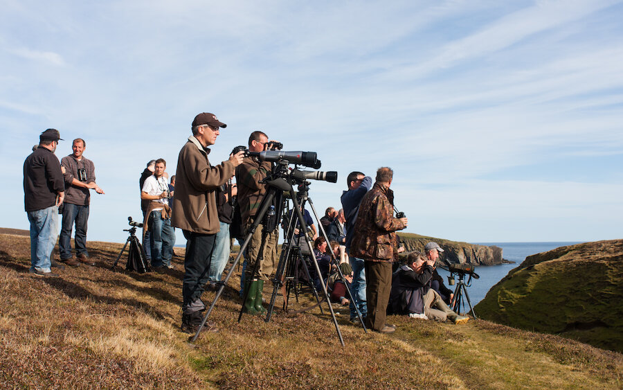 Enjoy brilliant birdwatching