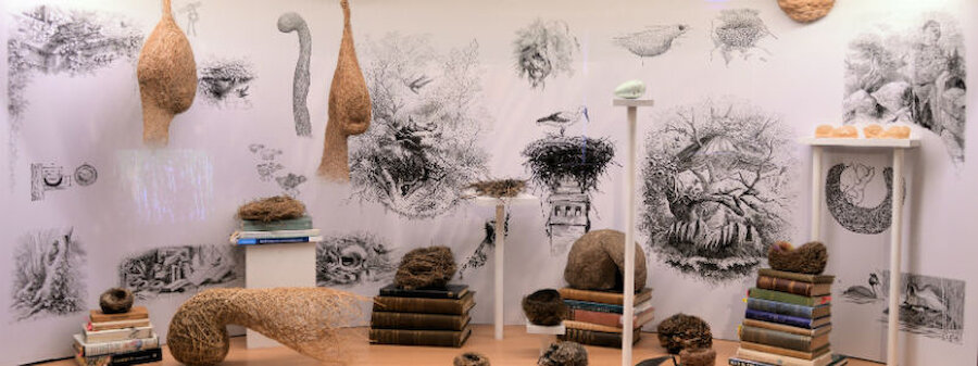 A remarkable range of nests is shown both in this display and in the video presentation (Courtesy Artangel/Shetland Arts/Alastair Hamilton)