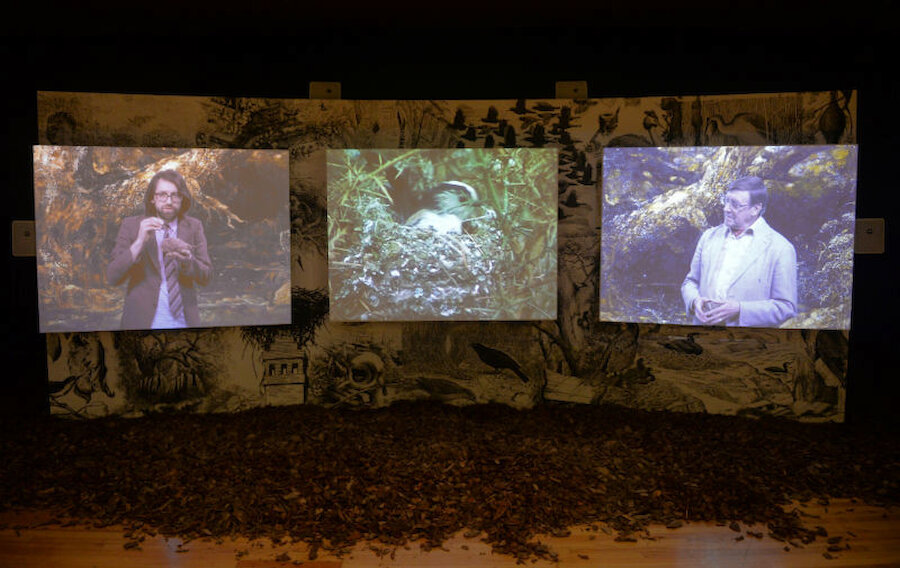 Andy Holden (on the left screen) and Peter Holden discuss the extraordinary nest of the long-tailed tit (Courtesy Artangel/Shetland Arts/Alastair Hamilton)