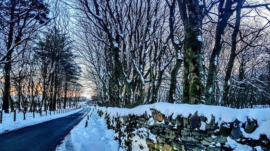 The woodlands at Kergord, Weisdale on a wintry day. | Shona Ward