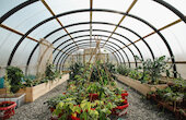 Still growing: Shetland's gardening success story