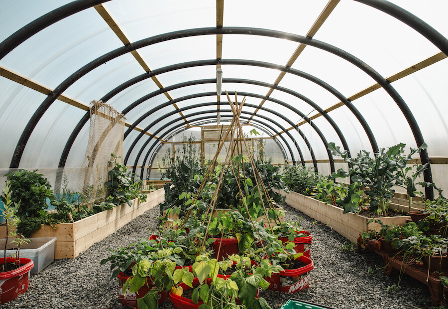 Still growing: Shetland's gardening success story