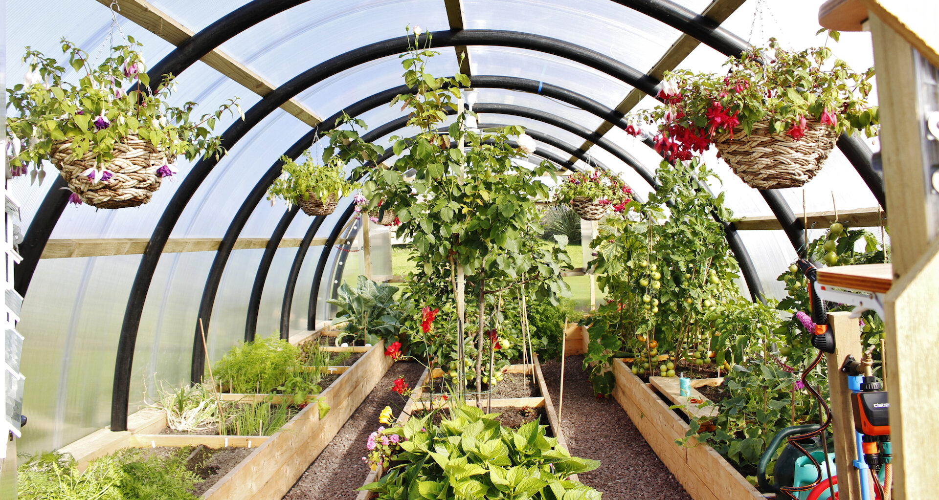The microclimate created allows a wide variety of fruit and vegetables to be grown.