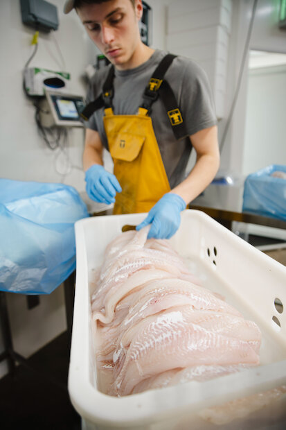 2. Island Fish celebrated for sea-to-plate provenance