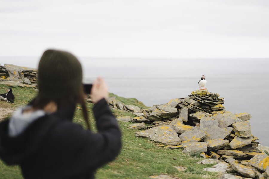 Getting up close with Puffins was a highlight of the trip